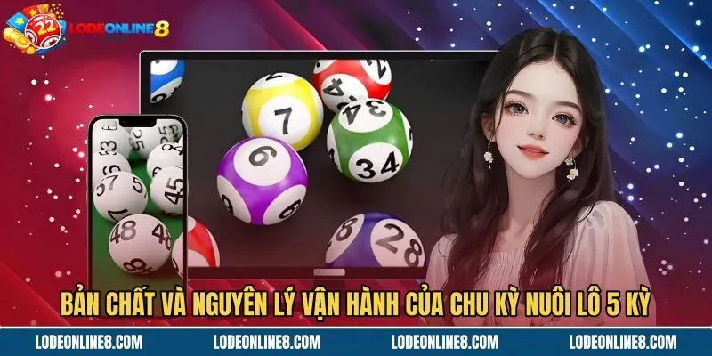 Chu kỳ nuôi lô khung 5 ngày và nguyên lý xác suất