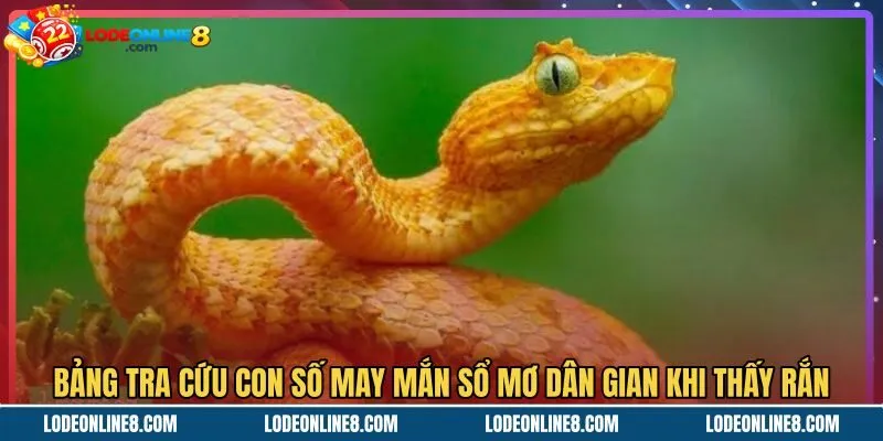 bang-tra-cuu-con-so-may-man-so-mo-dan-gian-khi-thay-ran Bảng tra cứu con số dân gian khi mơ thấy rắn