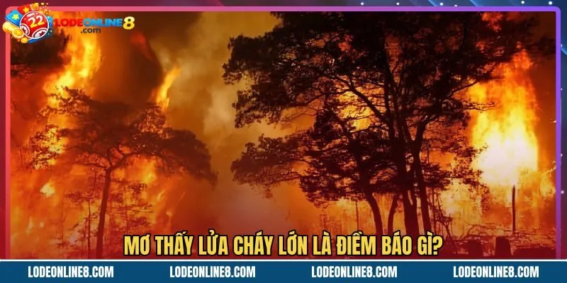 mo-thay-lua-chay-lon-la-diem-bao-gi Mơ thấy lửa cháy lớn cùng thông điệp phong thủy tài lộc